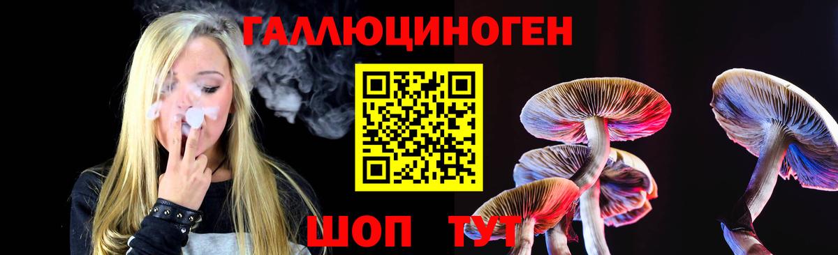 Псилоцибиновые грибы ЛСД Камень-на-Оби