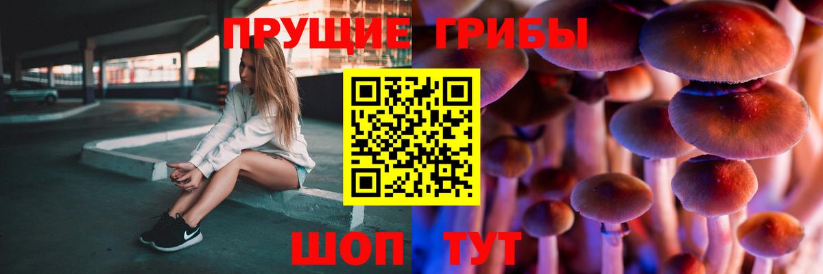 Камень-на-Оби  Галлюциногенные грибы ЛСД  Псилоцибиновые грибы Cubensis  Вход с VPN 